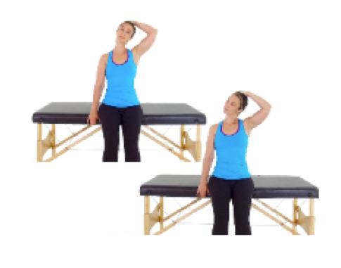 Seated trap stretch, a stretch that stops swelling pain from workouts